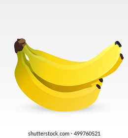 banana vector illustration