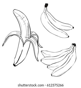 banana, vector, illustration