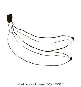 banana, vector, illustration