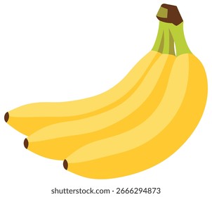 Ilustração de vetor de banana em estilo de design plano mostrando um cacho amarelo maduro de três frutas tropicais com tronco verde e pontas marrons para nutrição alimentar saudável e gráficos de mercado de supermercado