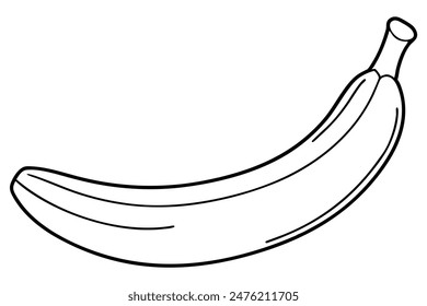 Banana  Vector Illustration for Graphic Design Projects