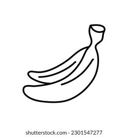 Banana vector illustration hand drawn. Linear drawing banana isolated on white background. Sketch for coloring booking page. Vector illustration