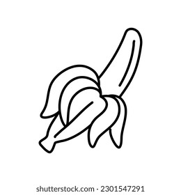 Banana vector illustration hand drawn. Linear drawing banana isolated on white background. Sketch for coloring booking page. Vector illustration