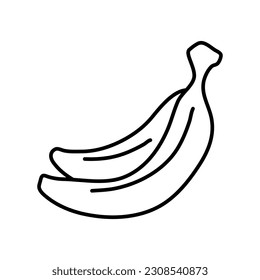 Banana vector illustration hand drawn. Linear drawing banana isolated on white background. Sketch for coloring booking page. Vector illustration