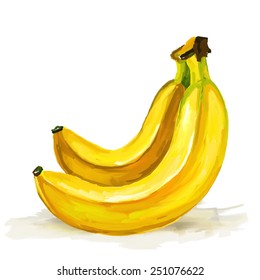 banana  vector illustration  hand drawn  painted watercolor 