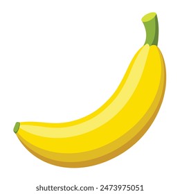 Banana Vector illustration high quality