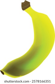 Banana Vector illustration high quality
