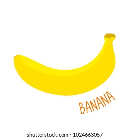 Banana vector illustration isolated