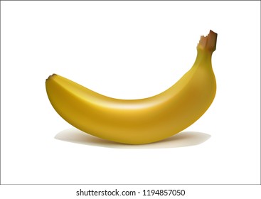 Banana Vector Illustration Isolated On White Stock Vector Royalty Free Shutterstock