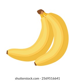 Banana in vector illustration on isolated white background.	Bunch of two bananas, ripe tropical fruit in yellow colour, vegetarian food