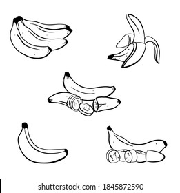 Ilustración vectorial de plátano en fondo blanco. Tejido aislado a mano, banana de cáscara y trozos cortados. Puede usarse para el diseño de etiquetas, afiches, impresiones, empaque.