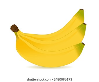 Ilustración vectorial de plátano, Un conjunto de plátanos maduros, Frutas dulces tropicales aisladas, plátano amarillo realista 3d, manojo de plátanos, patrón exótico con plátanos amarillos. Diseño de banana de textura sin costuras.