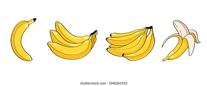 Ilustraciones vectoriales de plátano. Un plátano, un montón de plátanos, una cáscara abierta.