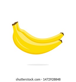 Banana vector isolated on white background. Illustration of two bananas