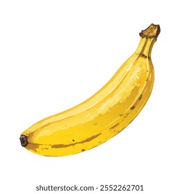 Banana vector isolated with white background.