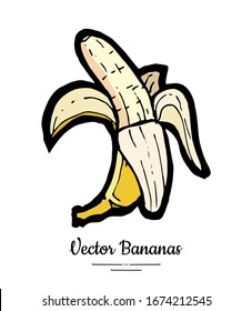 Banana vector isolated. Whole half peeled banana. Yellow fruits collection hand drawn. Food vegetarian logo icon sketch ink style. Fruit banana isolate illustration white background. Trendy food menu