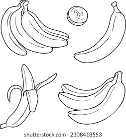 Banana vector line art illustration, fruit collection 