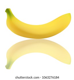 Banana vector with mirror shadow 