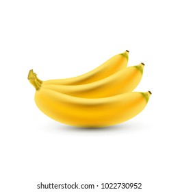 Banana. Vector Realistic Isolated Bananas. Realistic Yellow Bananas on the White Background. Vector Illustration of Bananas for Wallpaper, Packaging, Web Design, Tablecloth, Tile. Delicious Fruits.