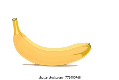 Banana Vector. Ripe banana vector isolated on white background.Fruit vector illustration collection