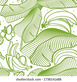 Patrón transparente vectorial de plátano.Eslabón verde de hojas con plátanos sobre fondo blanco. Fruta tropical. Para imprimir en papel, ropa para niños, textiles.