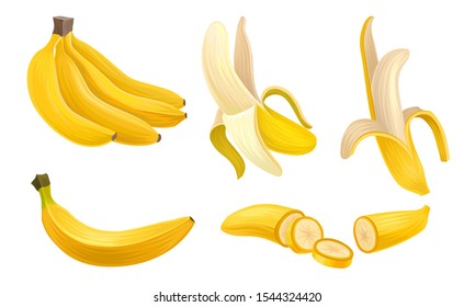 Banana Vector Set With Half Peeled Bananas and Cut Slices