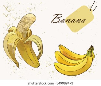 banana vector sketch set with tag in corner
