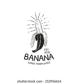 Banana Vector Template Logo. Fruit Ink Sketch.