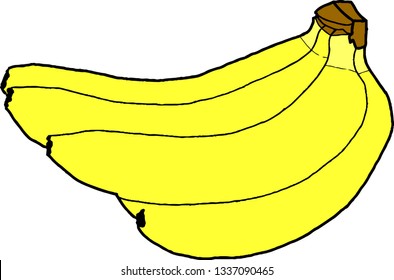 Banana vector white background