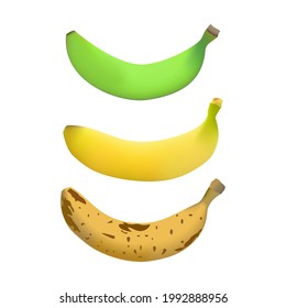 banana vectors ranging from unripe bananas, ripe bananas and rotten bananas