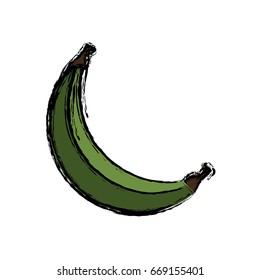 banana vegetable icon