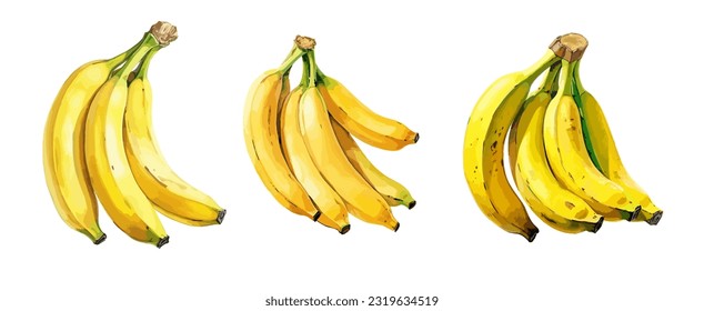 Banana, watercolor painting style illustration. Vector set.