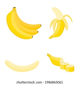 Banana, whole fruit, half and slices, vector illustration