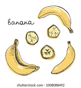 Banana in whole and slices/ Set of isolated sketchy style fruits and berries/ Doodle pencil drawn fruits in color/ Hand drawn vector illustration