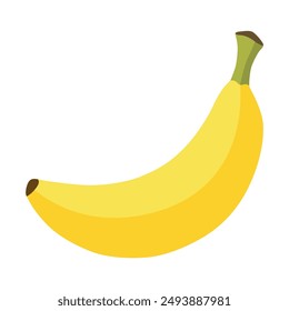 Banana. Yellow tropical fruit vector illustration. Healthy food.