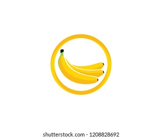 Bananan fruits vector template 