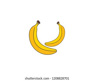 Bananan fruits vector template 