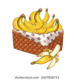 Cesta de plátanos. Cesta de frutas Ilustración vectorial. Concepto de diseño orgánico. Colección de frutas de Vector dibujado a mano. Cesta con frutas. Productos agrícolas.