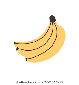 Bananas bunch, bundle. Sweet tropical fruit in yellow peel. Exotic healthy vitamin potassium food. Natural banan group, cluster in doodle style. Flat vector illustration isolated on white background