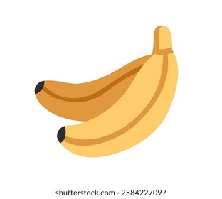 Bananas bunch. Sweet tropical fruit in yellow peel. Exotic healthy vitamin food. Natural ripe banan icon. Colored flat graphic vector illustration isolated on white background