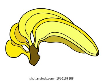 Bananas. Bunch of yellow ripe bananas - vector full color illustration. Sweet tropical healthy fruits - healthy food and vitamins. Vegan food, fruits.