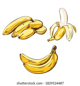 bananas, bunches, peeled, set, vector illustration