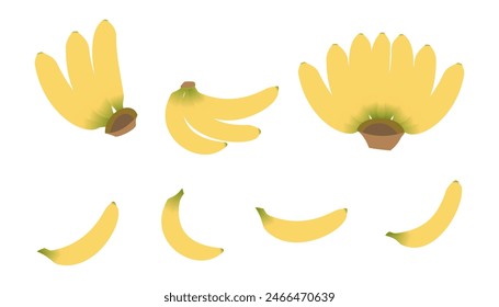 bananas cluster vector set. bunch bananas vector illustration isolated on white background.