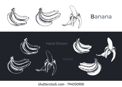 Bananas - detailed hand drawn art illustration. black ink on white background and white chalk on dark. isolated vector 4 design packing juice & blackboards