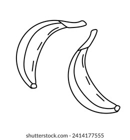Bananas, doodle black and white vector illustration of a pair of bananas. Fruit line art, hand draw illustration, natural product, coloring page.