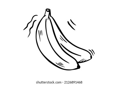 Bananen werden mit einem schwarzen Umriss gezeichnet. Vektorgrafiken, Skizze
