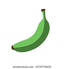 Bananas in flat style. Banana icons. green banana. Vector illustration isolated on white background