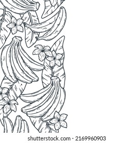 Bananas frame. Summer tropical fruits outline design element
