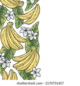 Bananas frame with text area. Summer tropical fruits