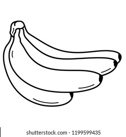 Bananas. Fresh fruit. Vector flat outline icon illustration isolated on white background